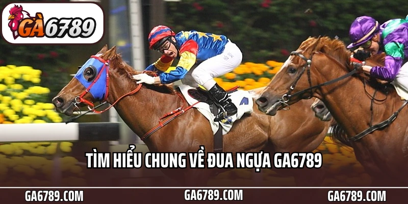 Tìm hiểu chung về đua ngựa Ga6789